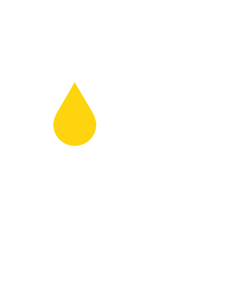 Active Logo Footer