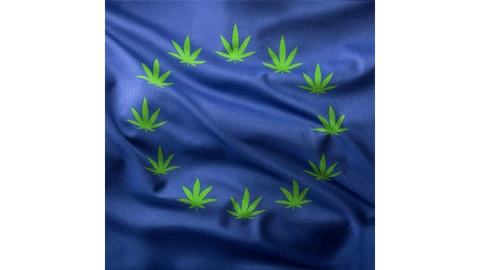 Hero image for With Federal Legalization Stalled, Cannabis Companies Are Finding A New Green Rush In Europe 
